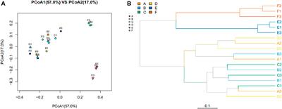 Changes in the Gut Microbiota May Affect the Clinical Efficacy of Oral Anticoagulants
